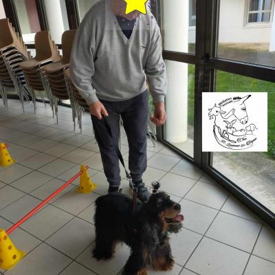 400001114 306857255545487 3533810149972340519 n