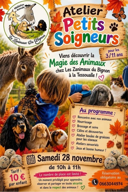 Ateliers petit soigneur du 28 novembre