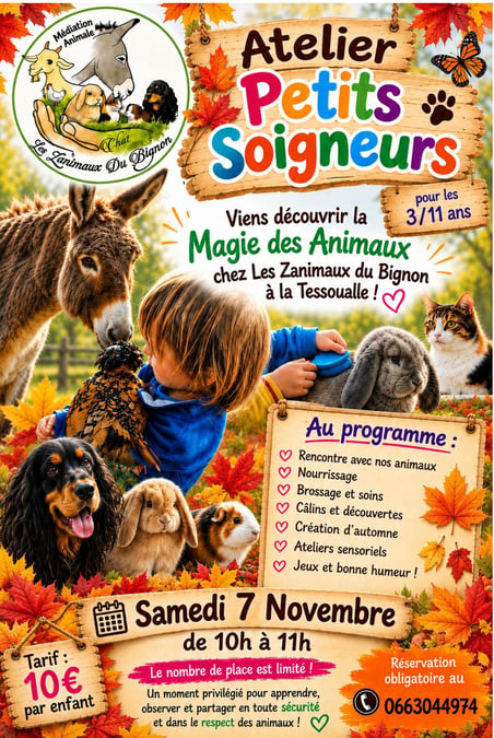 Ateliers petits soigneurs du 7 novembre