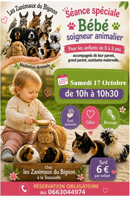 Seance bb soigneur du 17 octobre